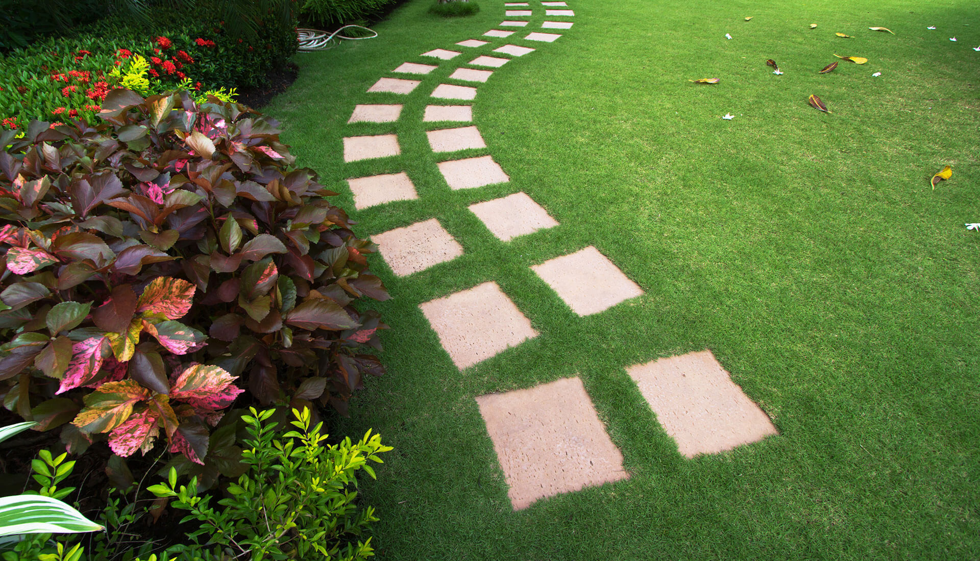 Landscaping Services in Alice Springs: A Practical Guide to Better Outdoor Spaces