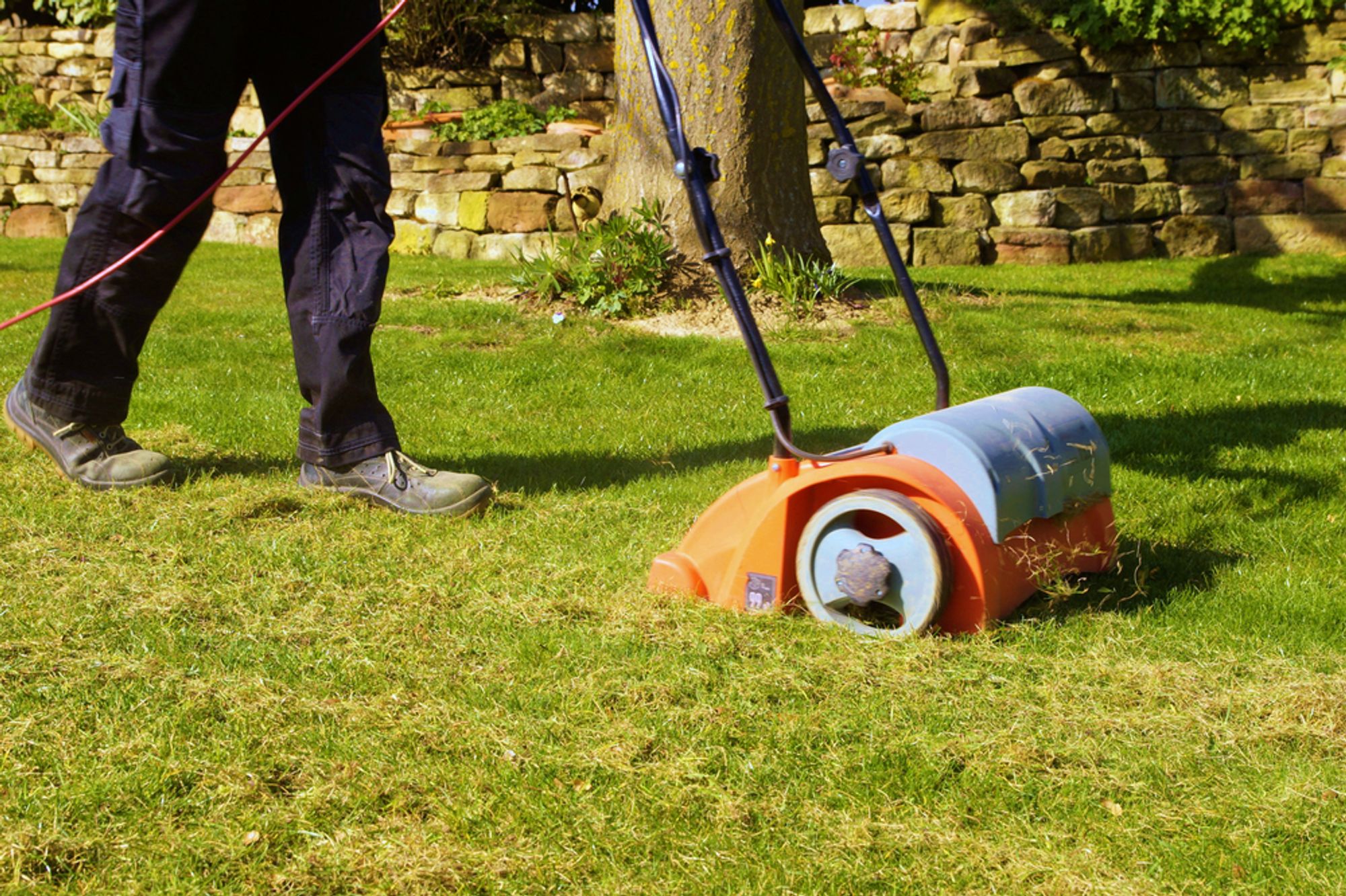 A Comprehensive Guide to Effective Lawn Care and Maintenance in Alice Springs