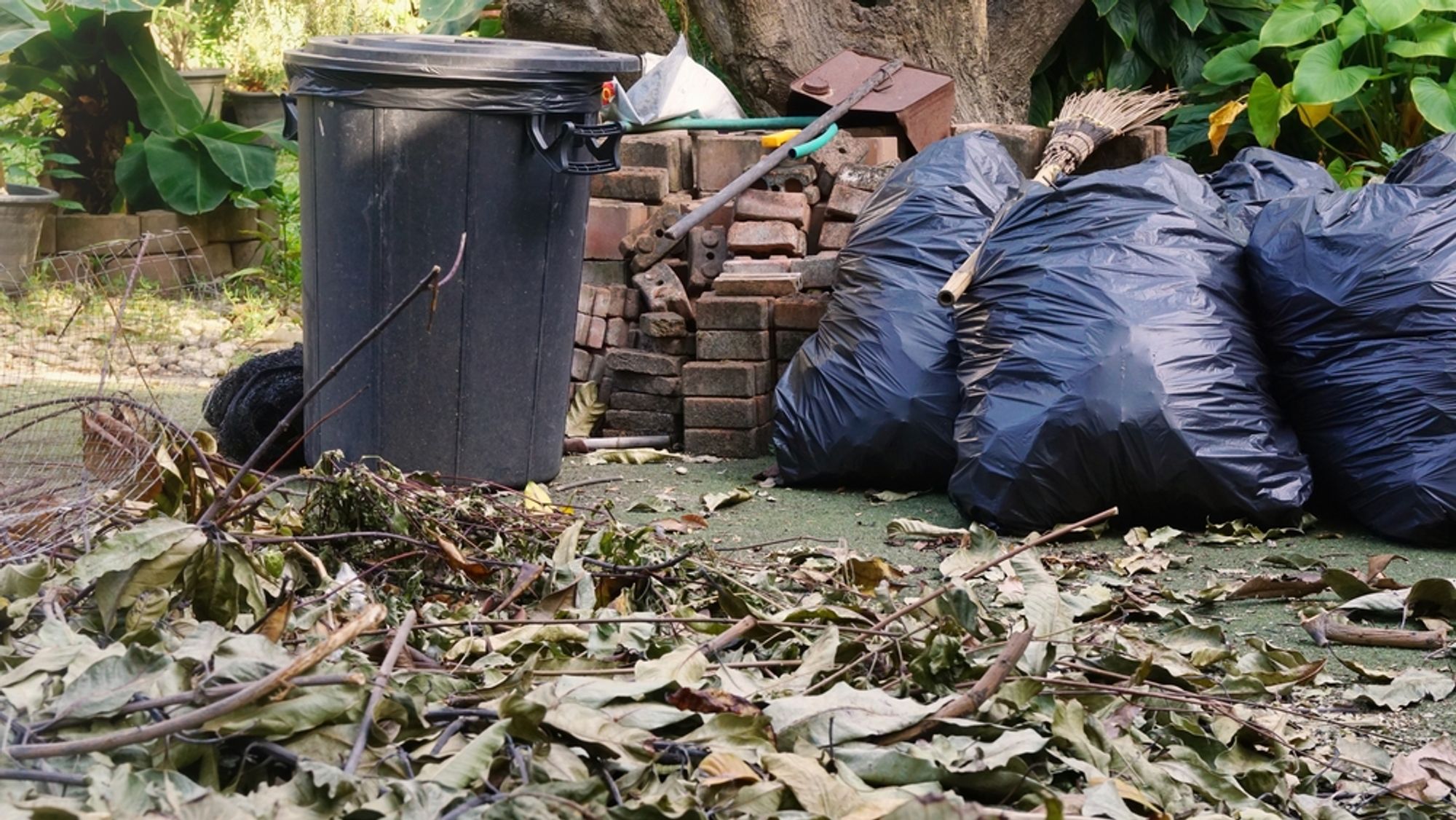 Keep Your Alice Springs Garden Tidy with Innovative Rubbish Removal Solutions