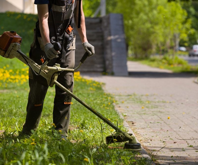 lawn care