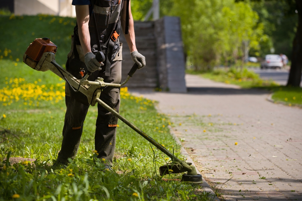 Alice Springs Lawn Care: Tips for a Healthy and Gorgeous Lawn