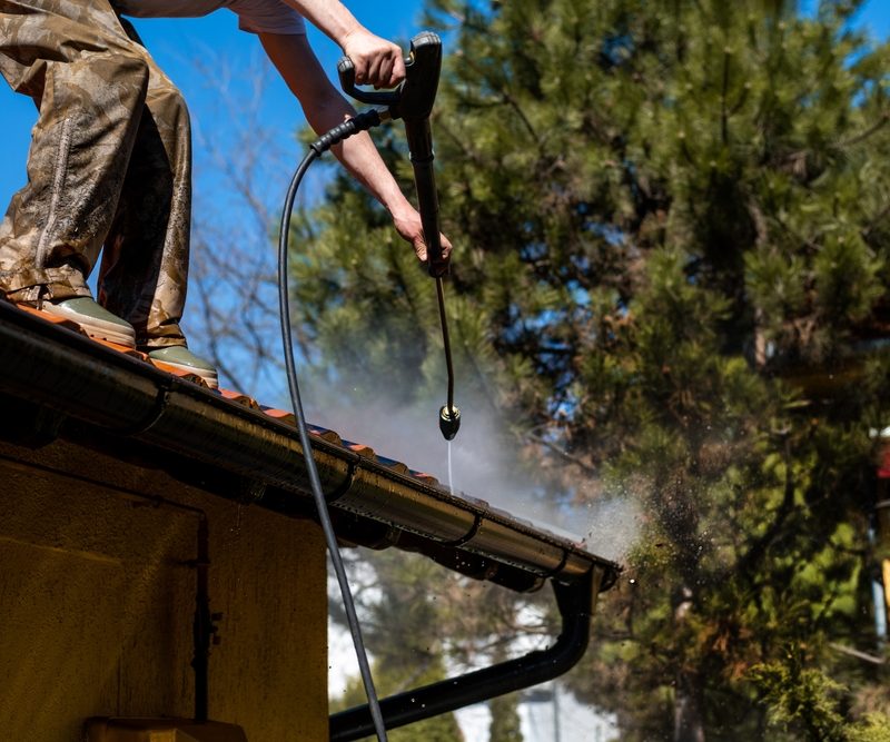 gutter cleaning