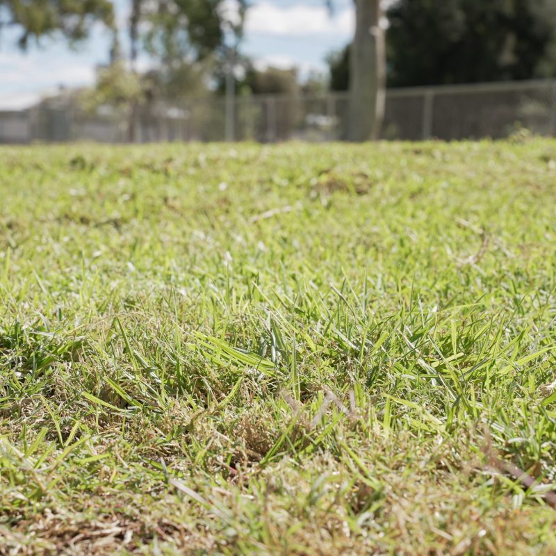 Smart Irrigation Solutions