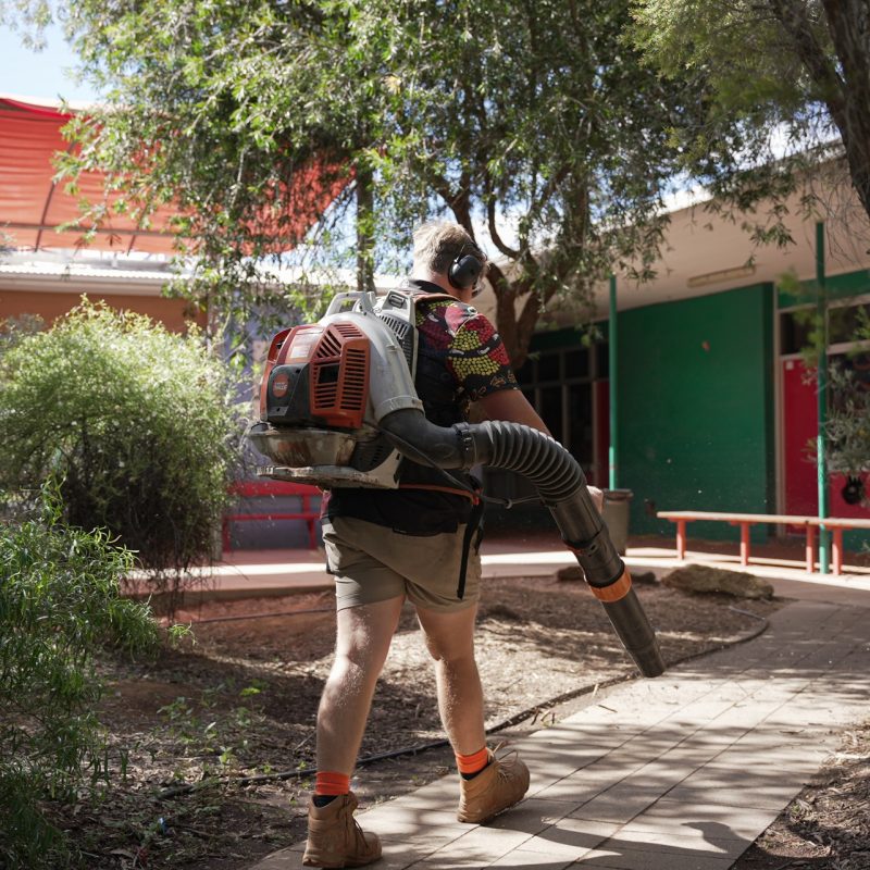 Essential Landscaping Tips