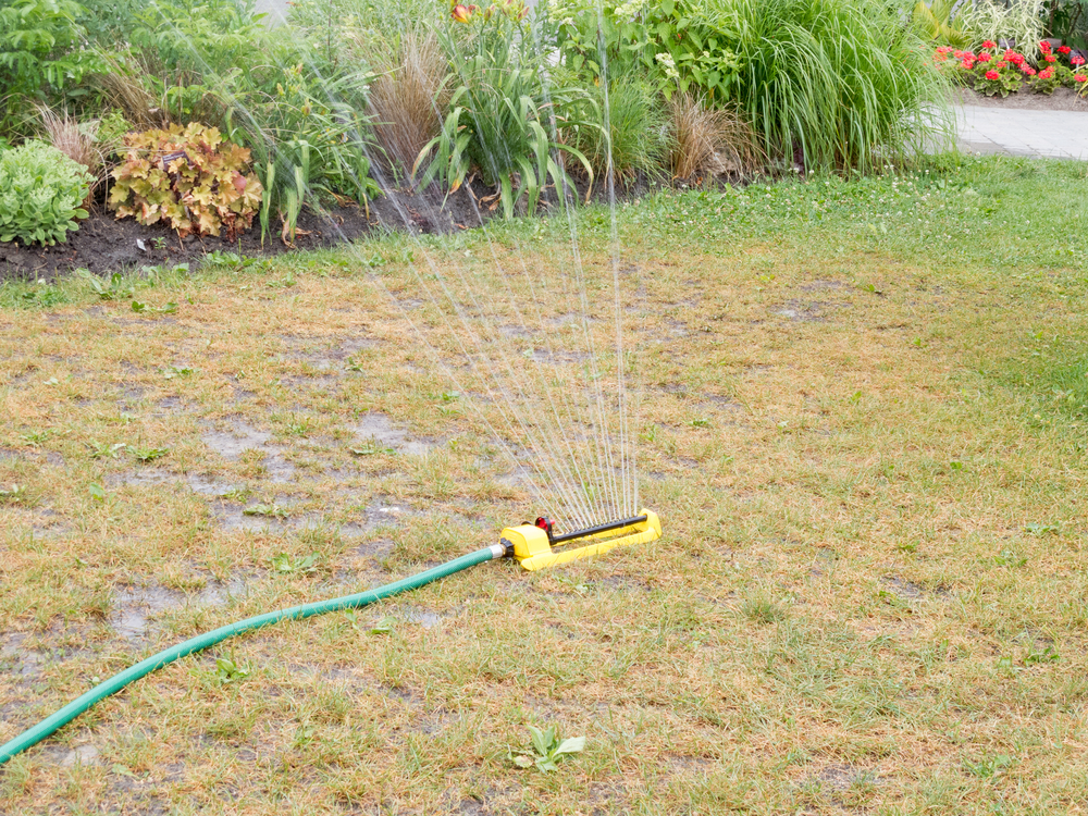 Choosing the Right Irrigation System for Your Garden