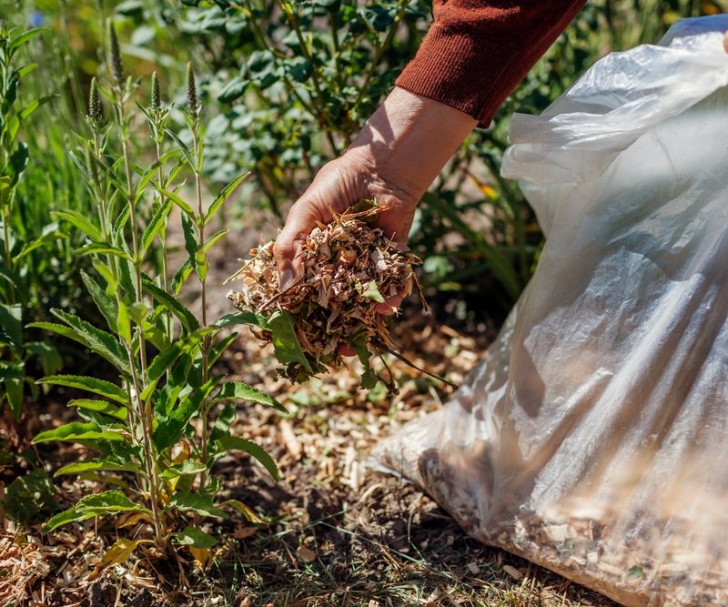 Eco-Friendly Property Maintenance: Green Tips for Alice Springs Homes