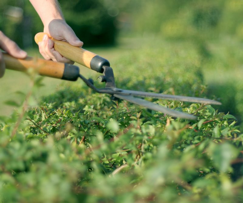 Simple Yard Clean Up Tricks to Boost Curb Appeal