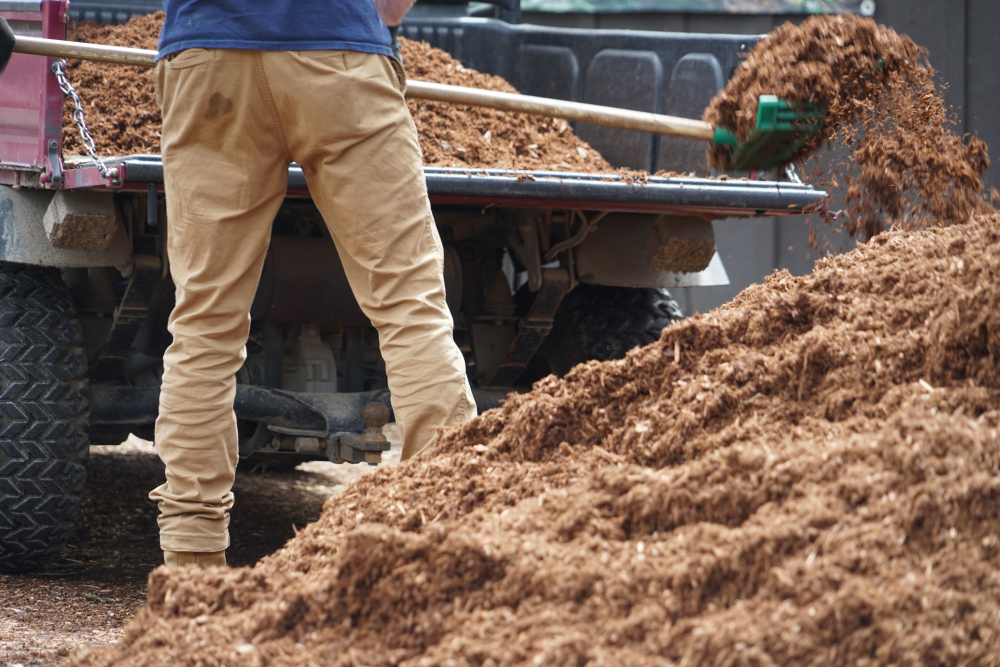 Expert Rubbish Removal Tips to Keep Your Property Tidy