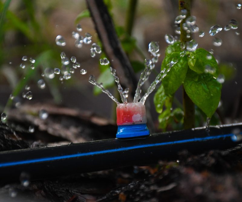 Smart Irrigation