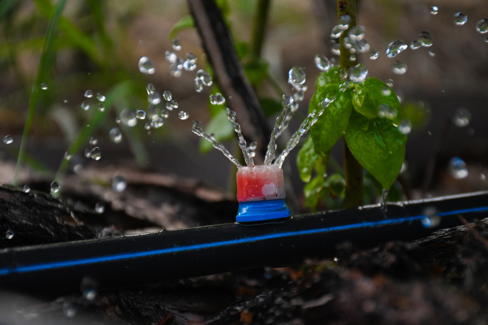 How to Keep Your Garden Green with Smart Irrigation