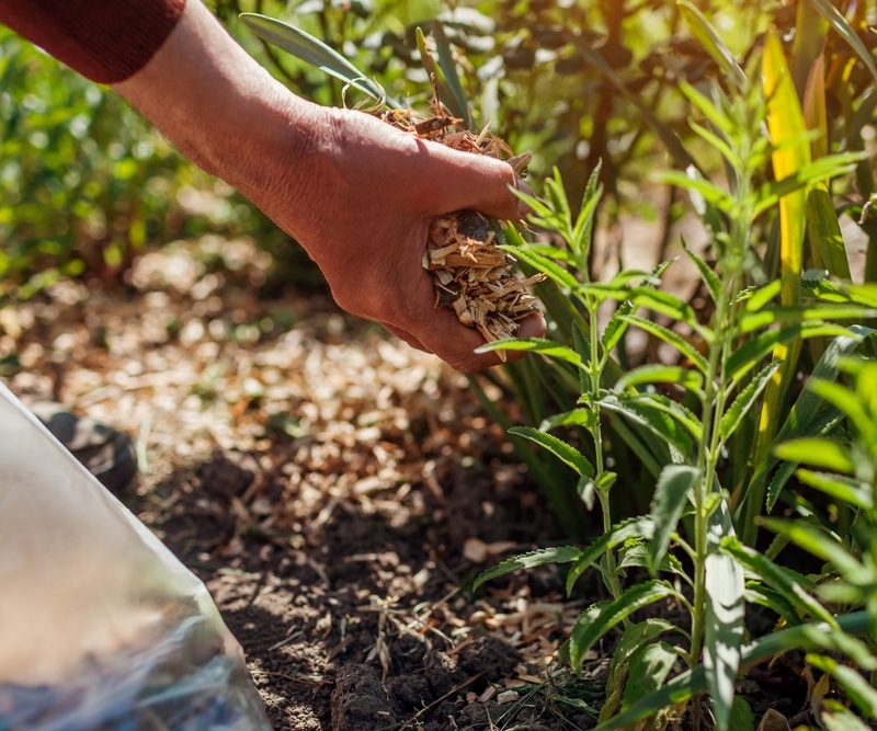 Garden Waste Disposal