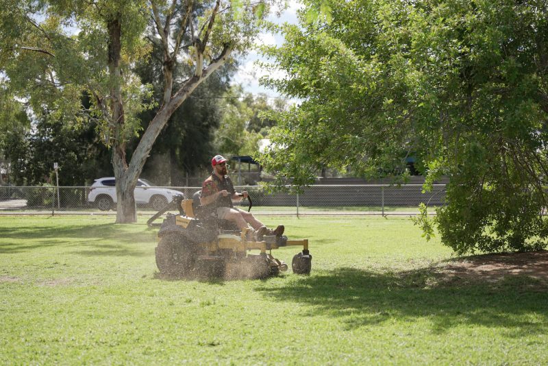 Benefits of Couch Grass