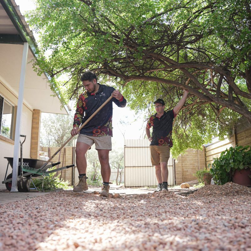 clean up yard service