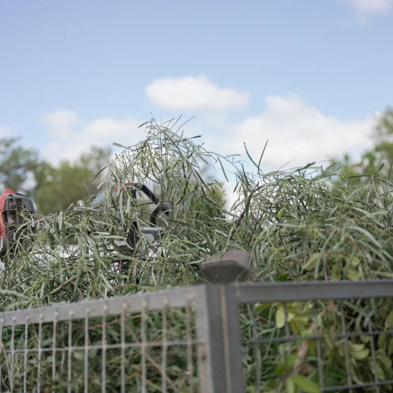 home rubbish removal alice springs