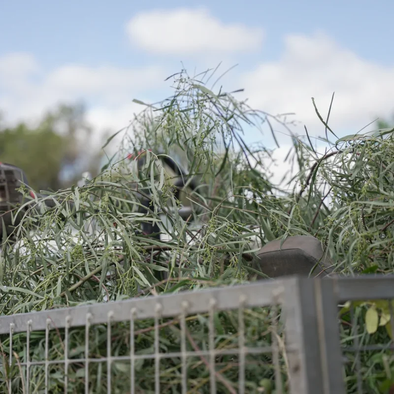 rubbish removalists alice springs
