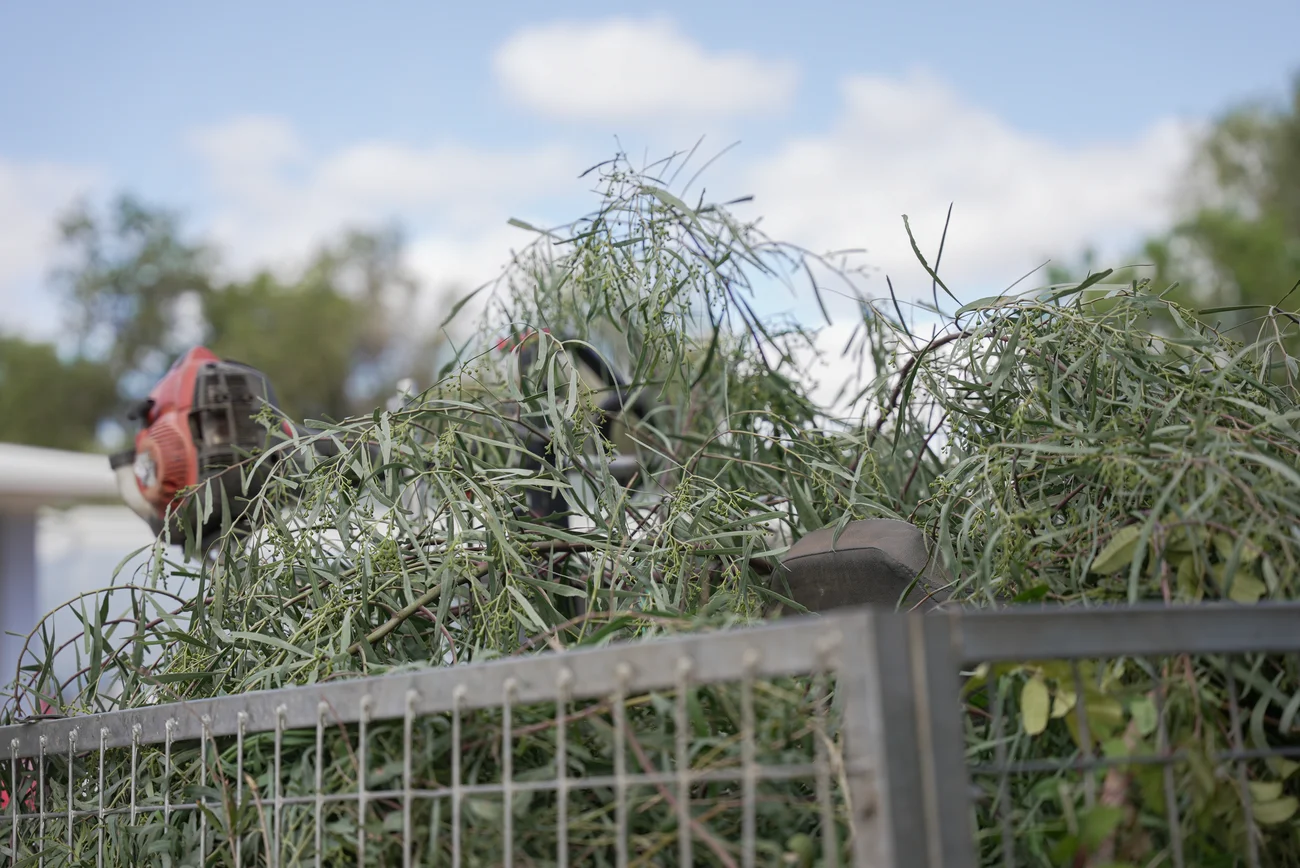 What Rubbish Removalists Do in Alice Springs Communities