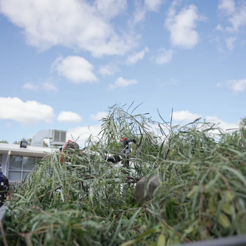 smart rubbish collection service