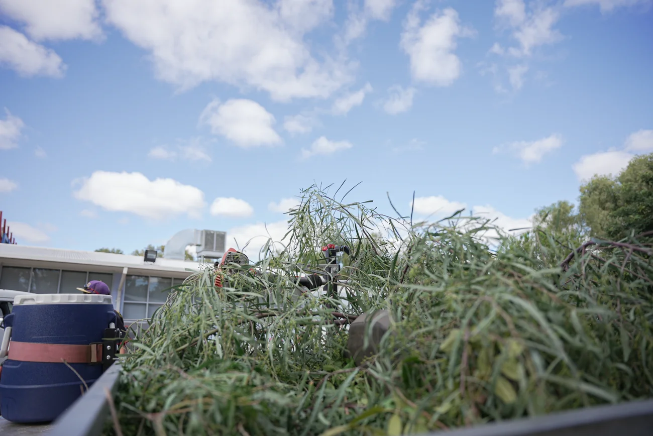 Smart Rubbish Collection Service Ideas for Alice Springs