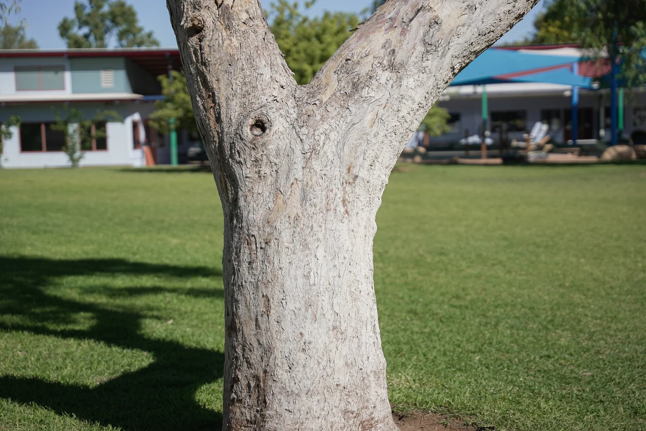 Guide to Irrigation System Design in Alice Springs Region