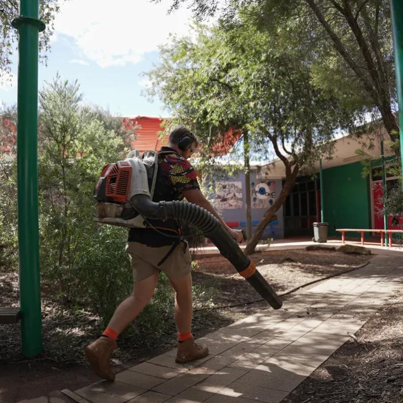 yard cleaning services frequency