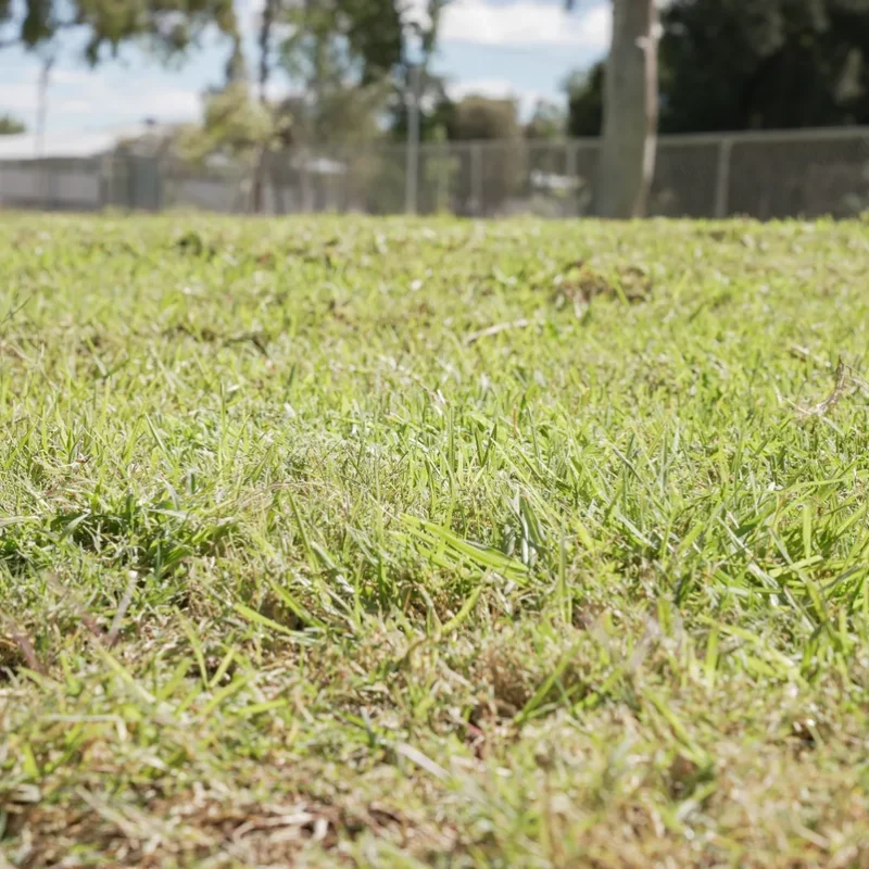 irrigation installation alice springs expert