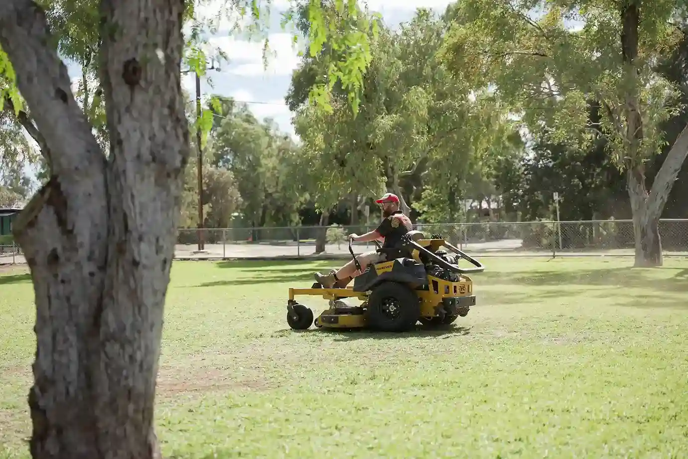 Green Waste Removal Alice Springs: Costs, Tips, Guide