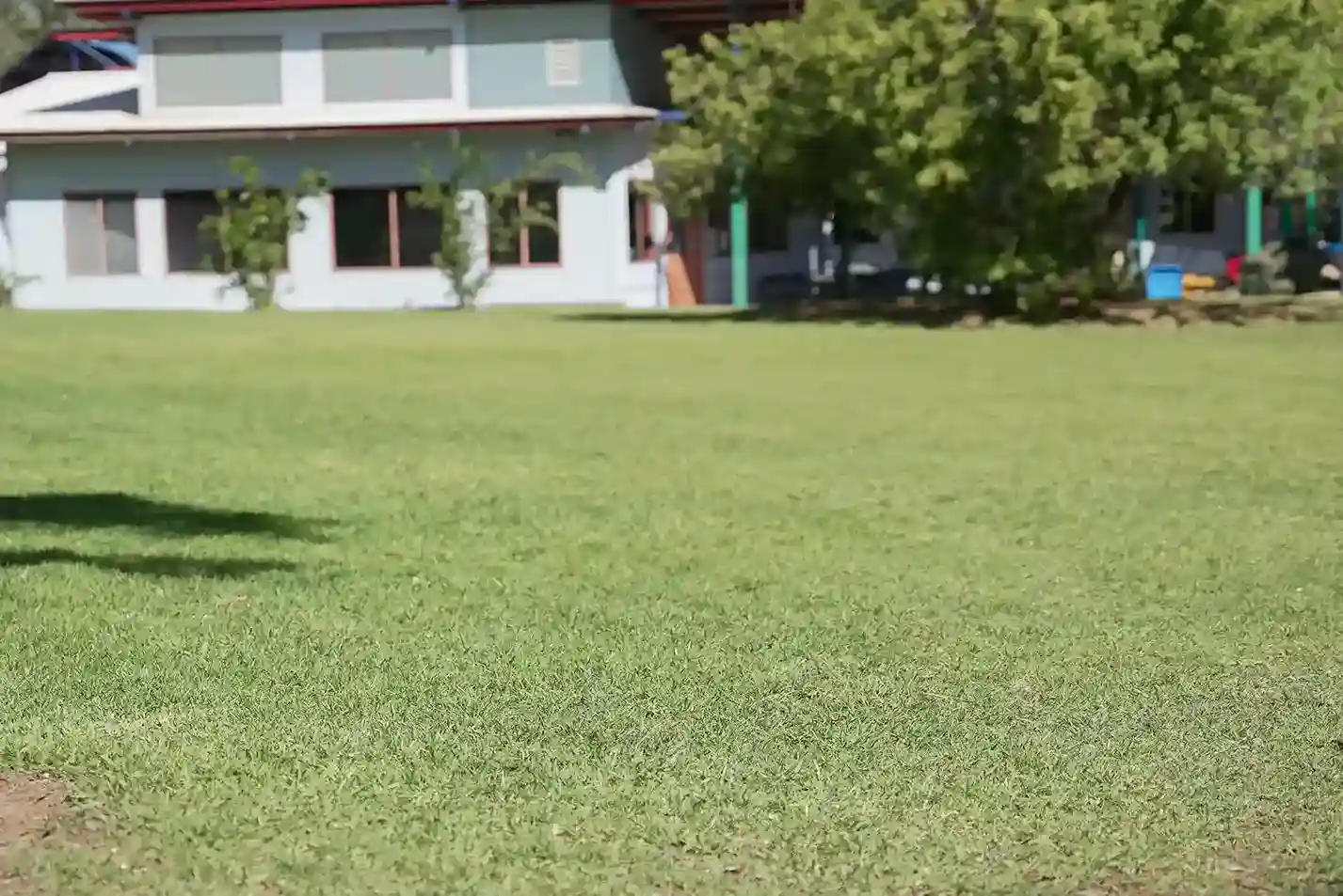 What to Expect from an Irrigation Specialist in Alice Springs