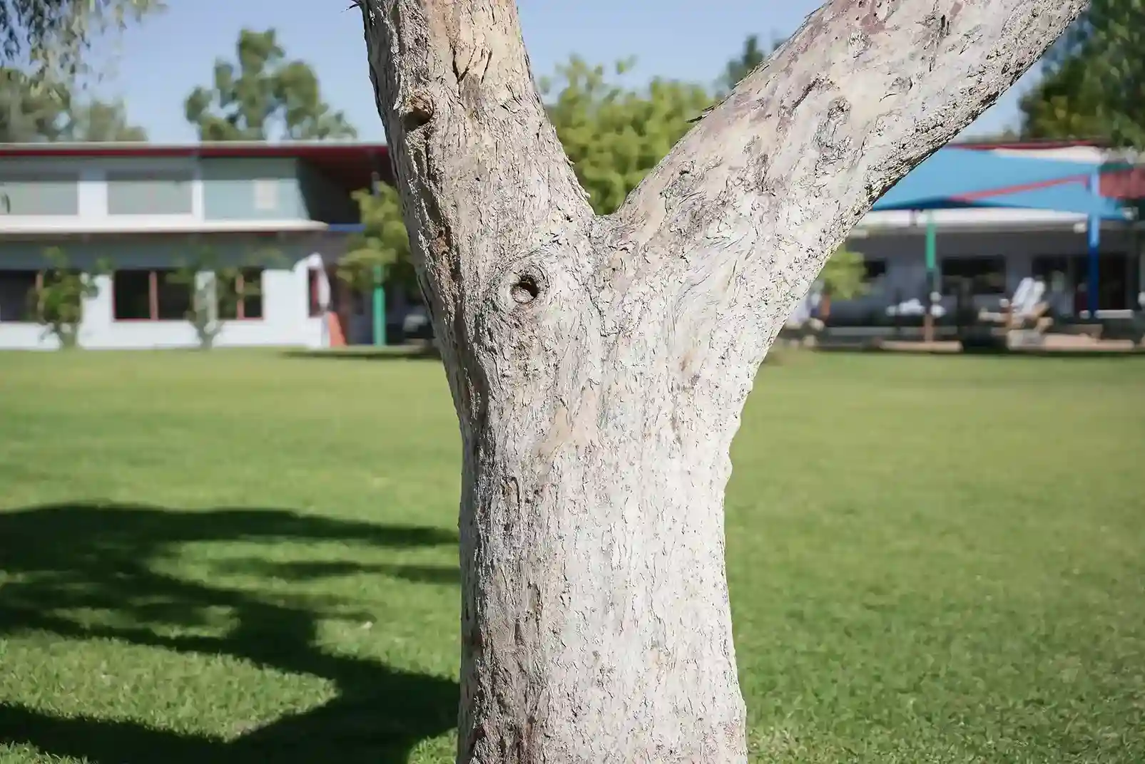 Irrigation Specialist alice springs