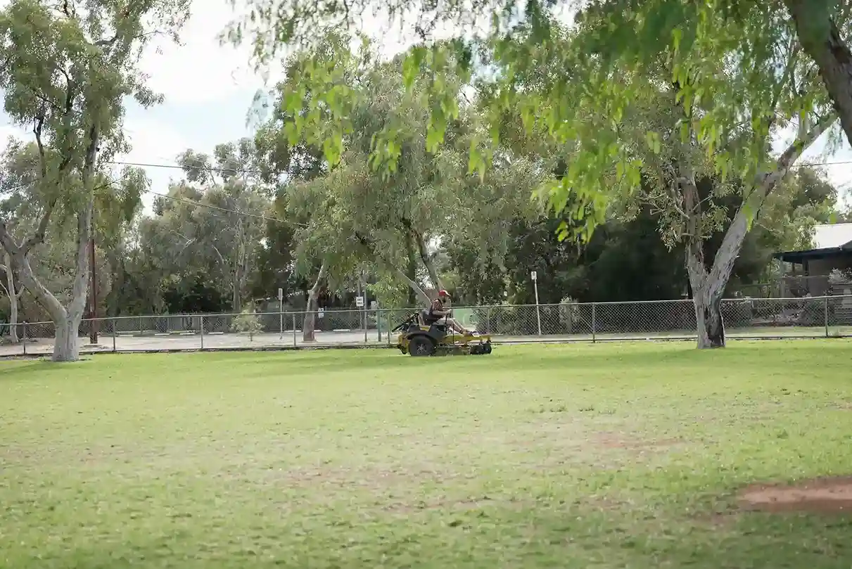 How to Build a Drought Tolerant Backyard in Alice Springs