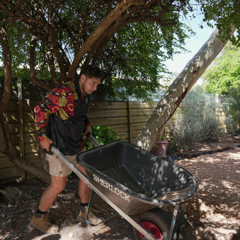 Drought Tolerant Backyard