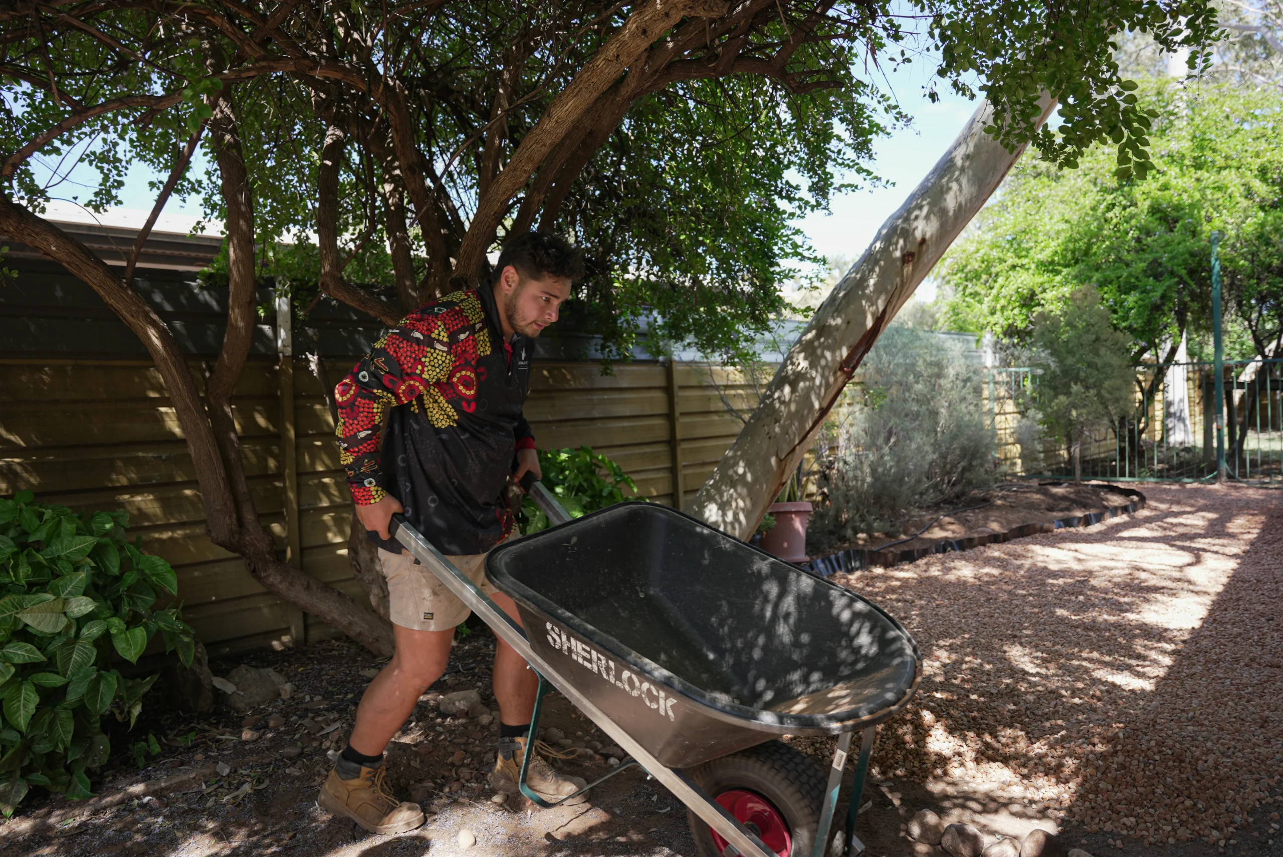 What Are the Key Benefits of a Drought Tolerant Backyard?