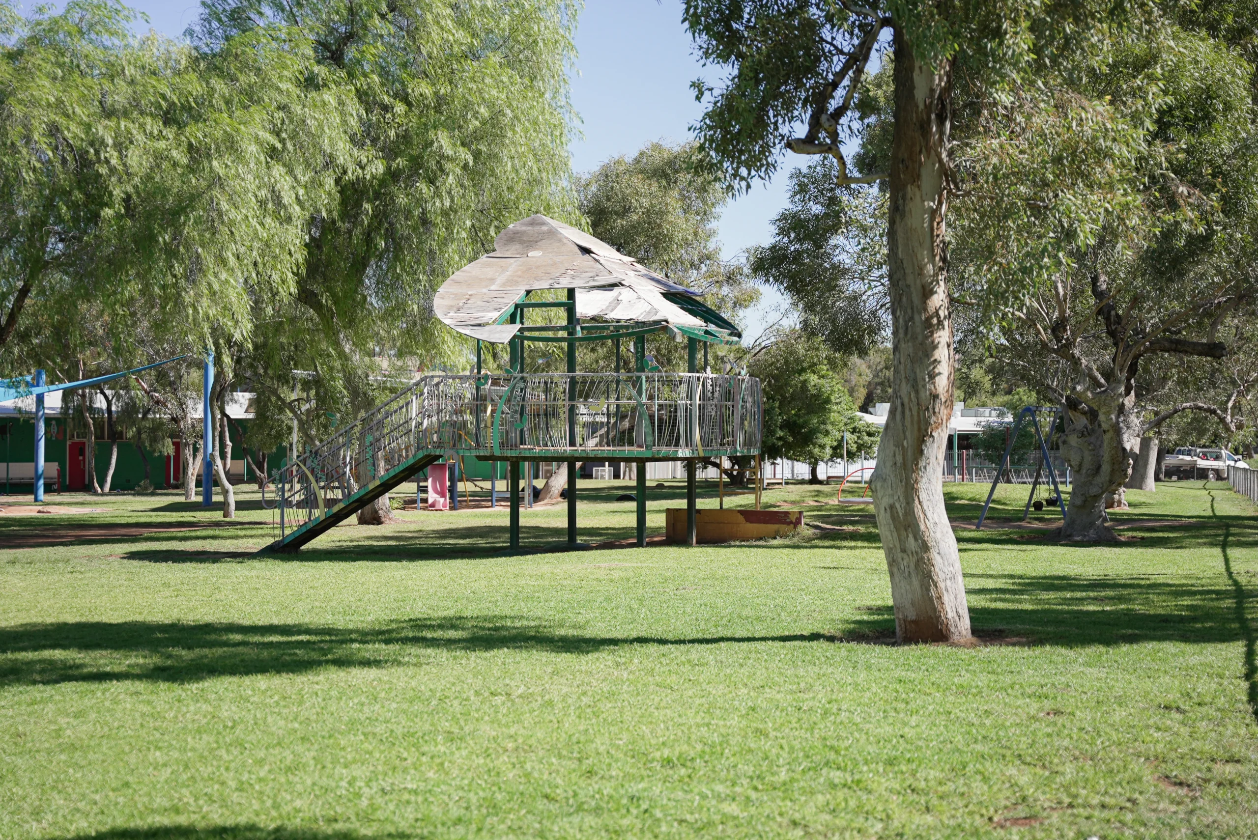 Why Is a Tree Pruning Service Important for Tree Health in Alice Springs?